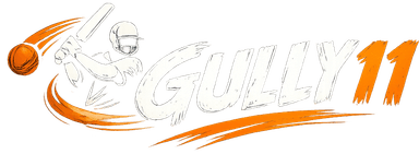 Gully11